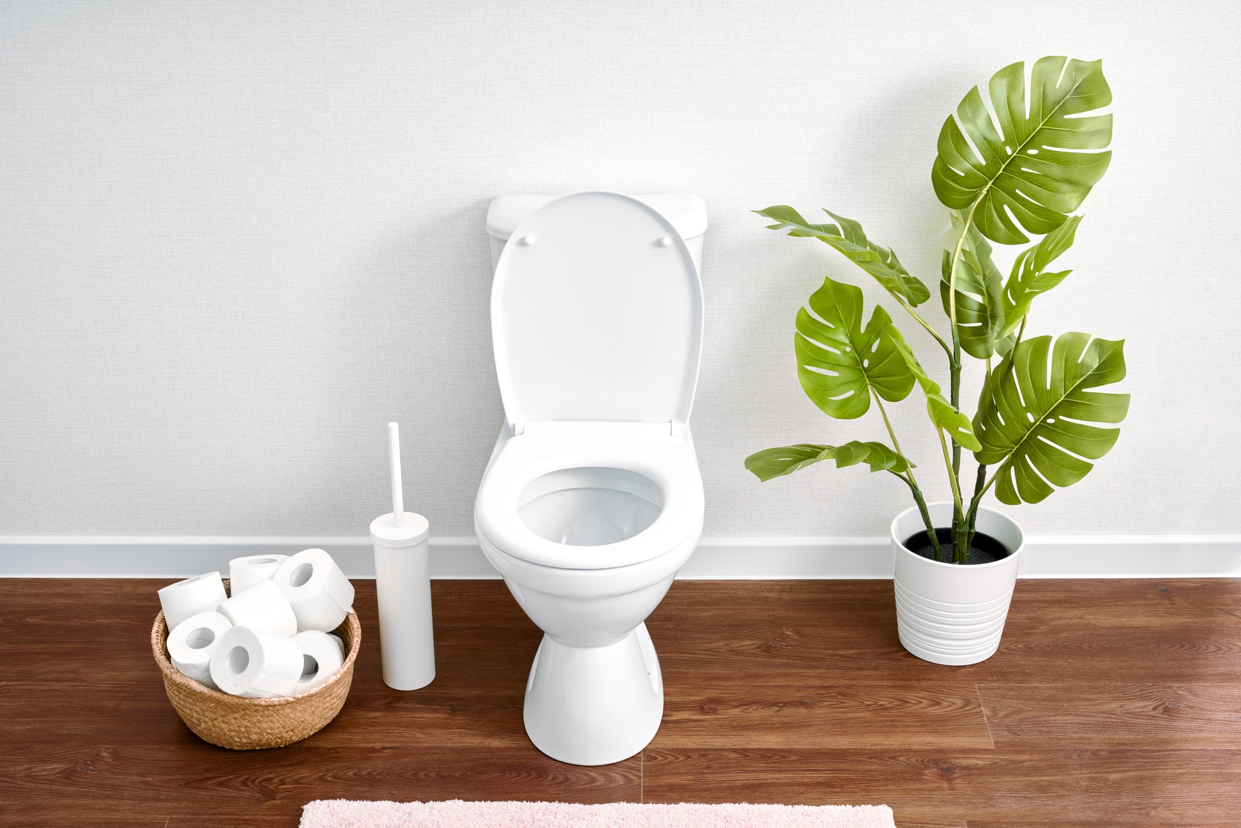 A toilet with basket of toilet paper, toilet wand, and plant nearby. Avoid clogged toilets by only flushing 3 ps.